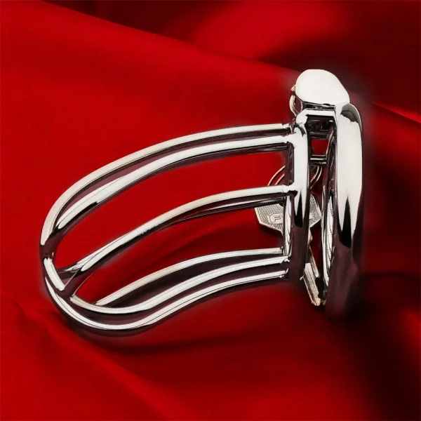 Stealth Lock Male Chastity Device Metal Cock Cage Erotic Urethral Lock Sex Toys For Men Gay Bondage Belt Penis Ring Adult Toy – Image 3