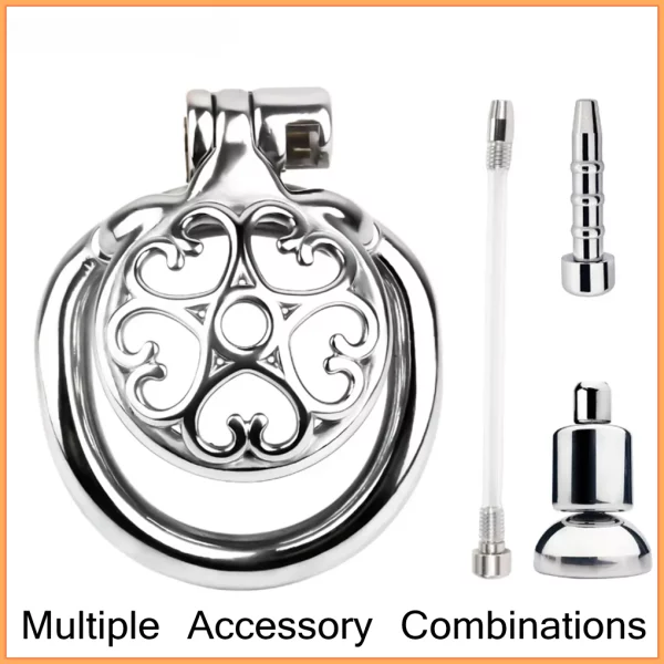 Stainless Steel Hollow Male Chastity Cage Multiple Accessory Combinations Penis Lock Cock Ring Sex Toys for Men Chastity Belt