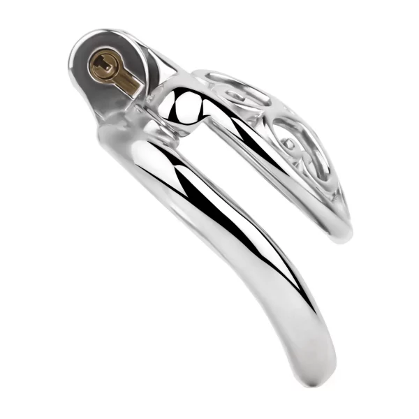 Stainless Steel Hollow Male Chastity Cage Multiple Accessory Combinations Penis Lock Cock Ring Sex Toys for Men Chastity Belt – Image 6