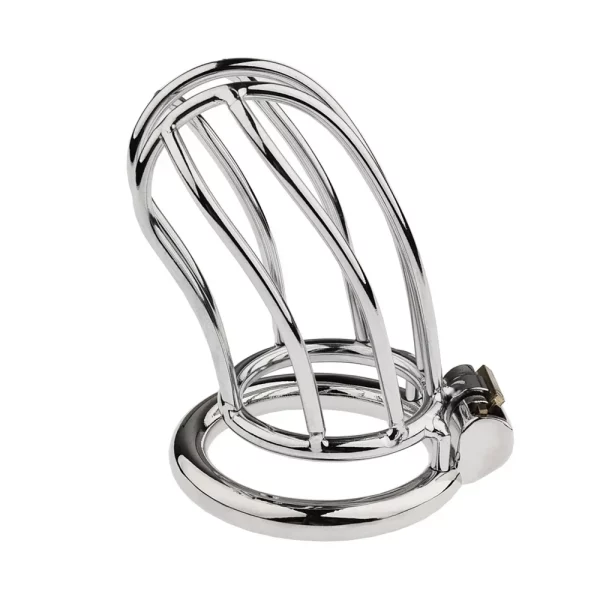 Stealth Lock Male Chastity Device Metal Cock Cage Erotic Urethral Lock Sex Toys For Men Gay Bondage Belt Penis Ring Adult Toy – Image 4