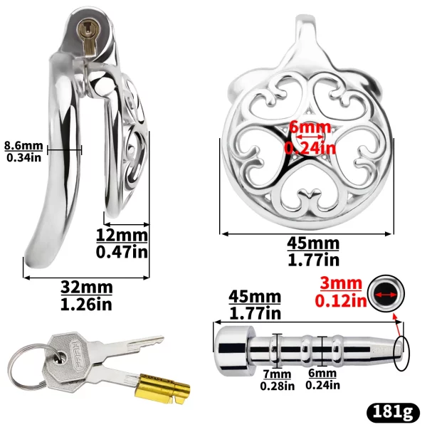 Stainless Steel Hollow Male Chastity Cage Multiple Accessory Combinations Penis Lock Cock Ring Sex Toys for Men Chastity Belt – Image 4